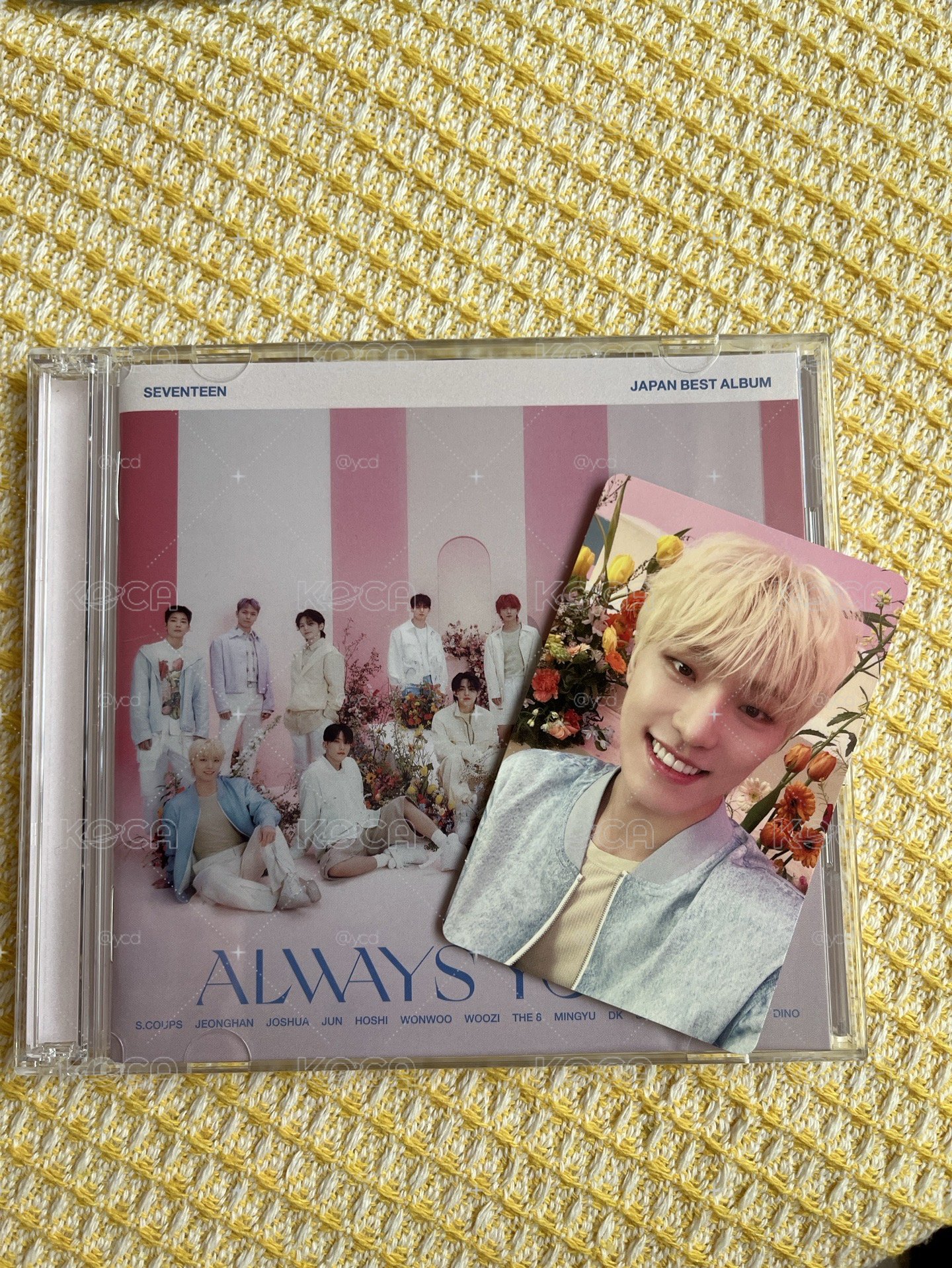 閃盤 全專