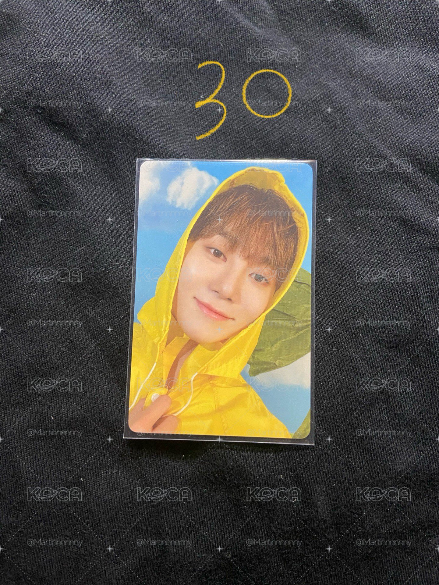 Seventeen mini11