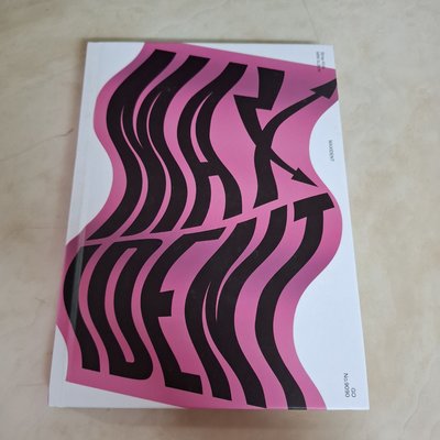 Stray Kids MAXIDENT 限量版 空專