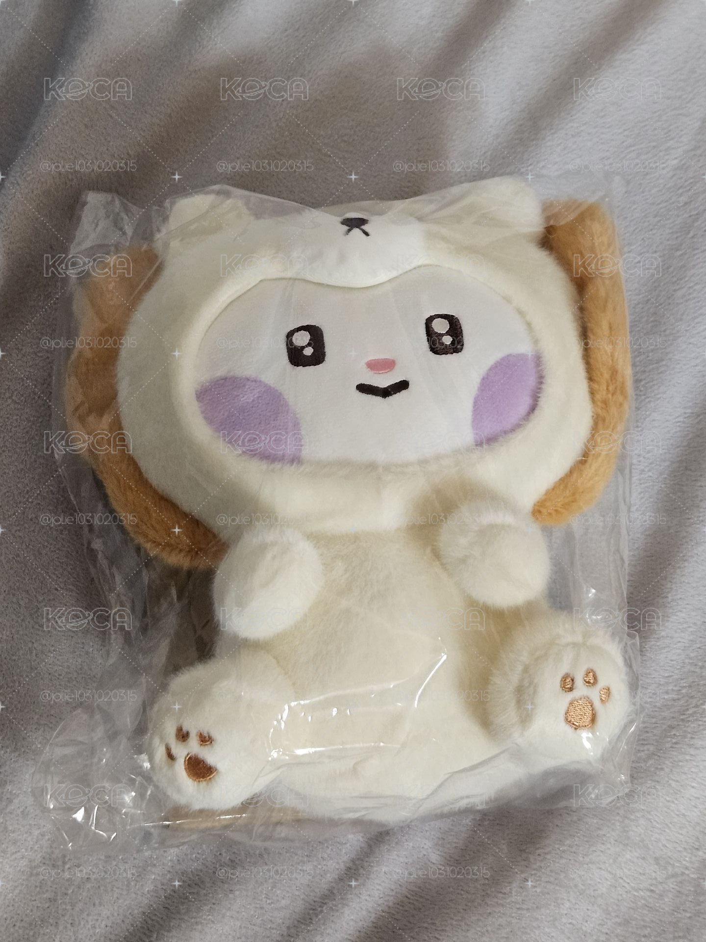 辰大娃