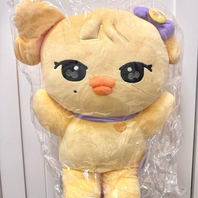 稀有初代50cm娃順便帶走很多小卡