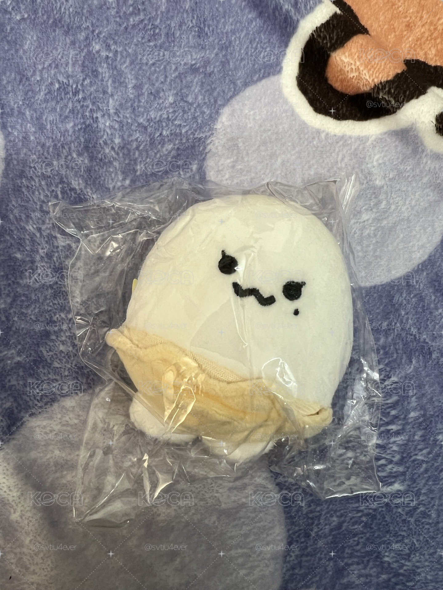 太妍蛋蛋