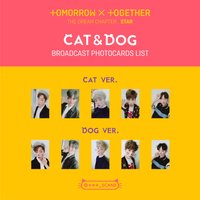 迷一 貓狗 打歌卡