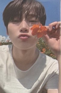 隨機卡 fate plus 首爾場周