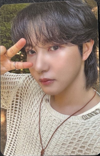 DreamScape am 特典卡 