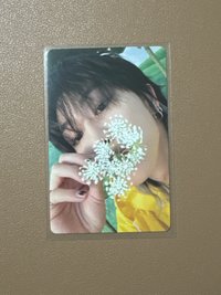 迷十一克拉盤-2 