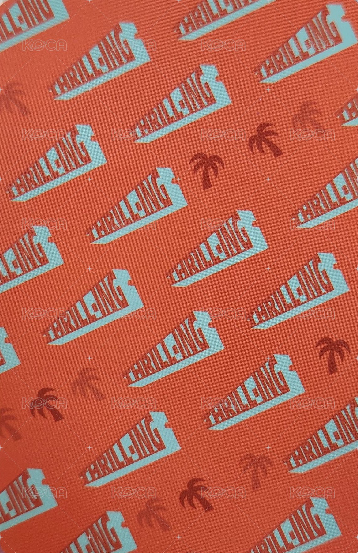 THRILL-ING 專輯卡 Splash ver. 背面