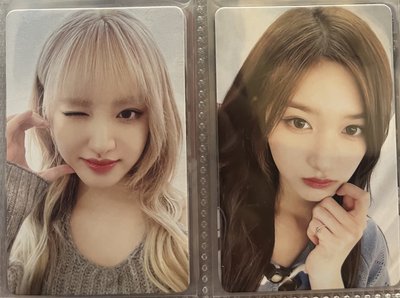 I’VE MINE 栗瑞小卡 中背 kms2.0