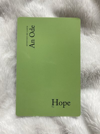 SEVENTEEN An Ode 綠專 專輯卡-玟奎、勝寛