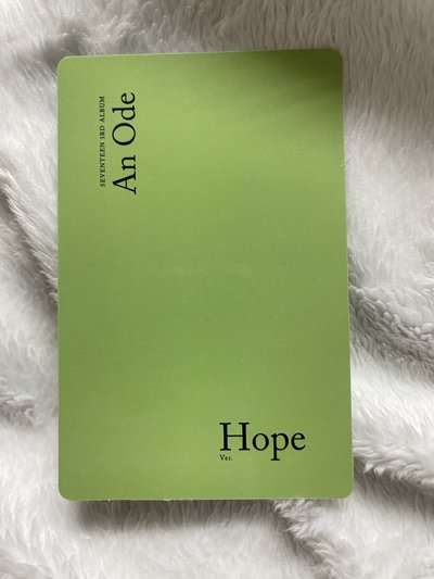 SEVENTEEN An Ode 綠專 專輯卡-玟奎、勝寛