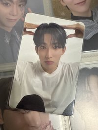 💎SVT 精選專  克拉盤專卡 狗狗碩（需綁300）