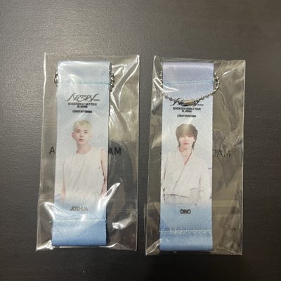 New_日巡旗幟扭蛋 秀 燦