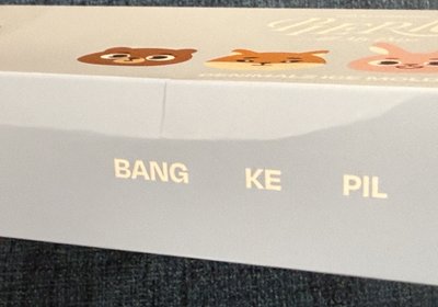 DAY6 製冰盒 PIER 10