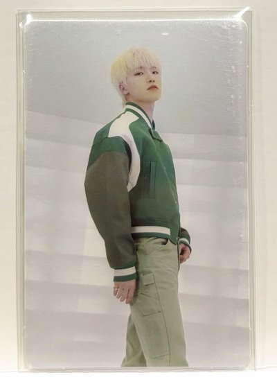 Seventeen小卡-Dino