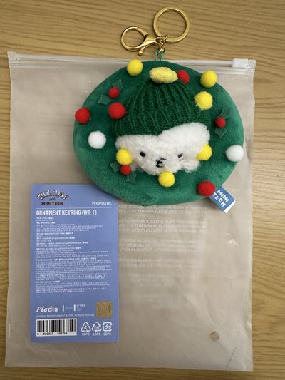 miniteen 聖誕飯粒