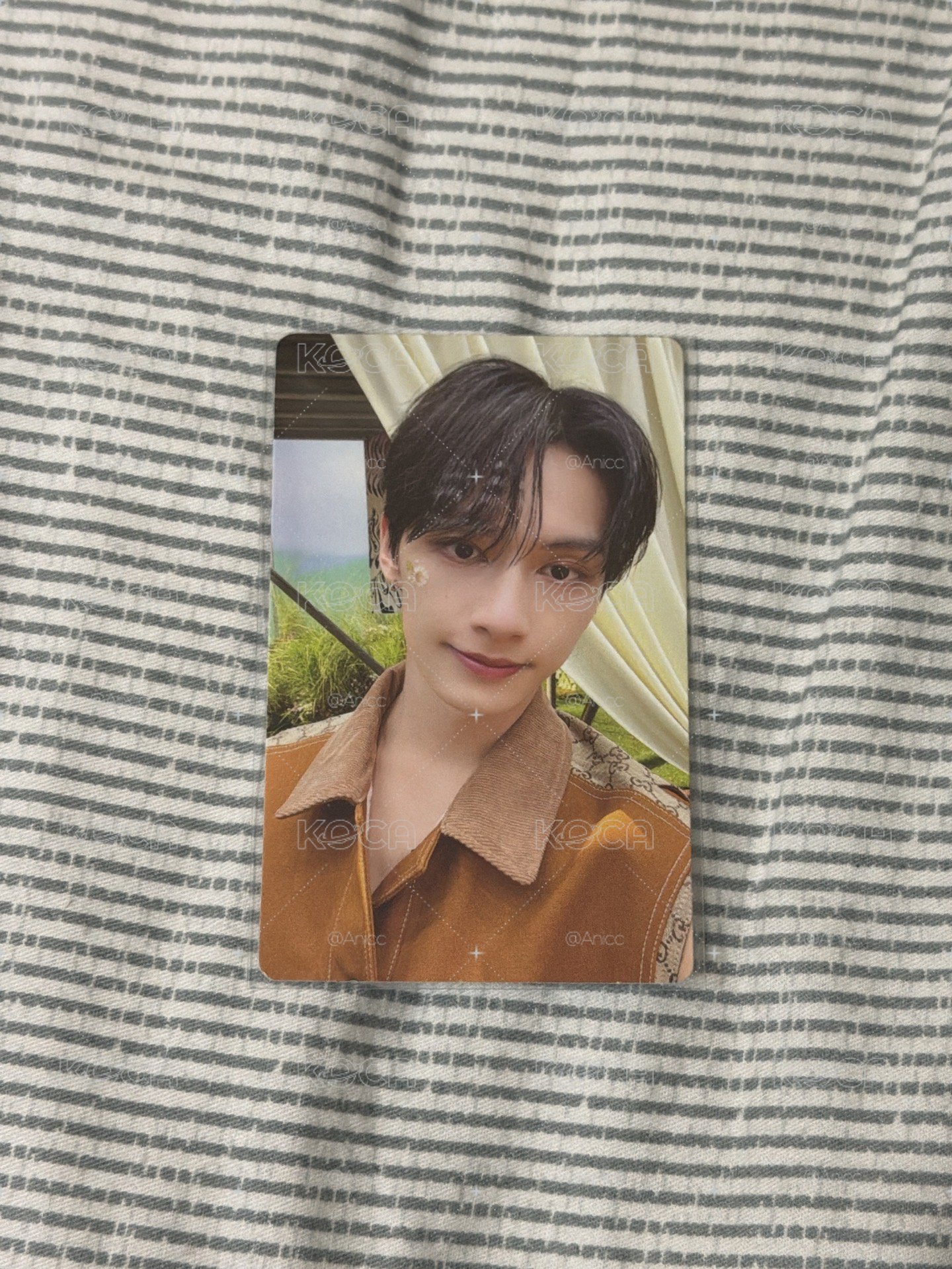 💛迷11 俊