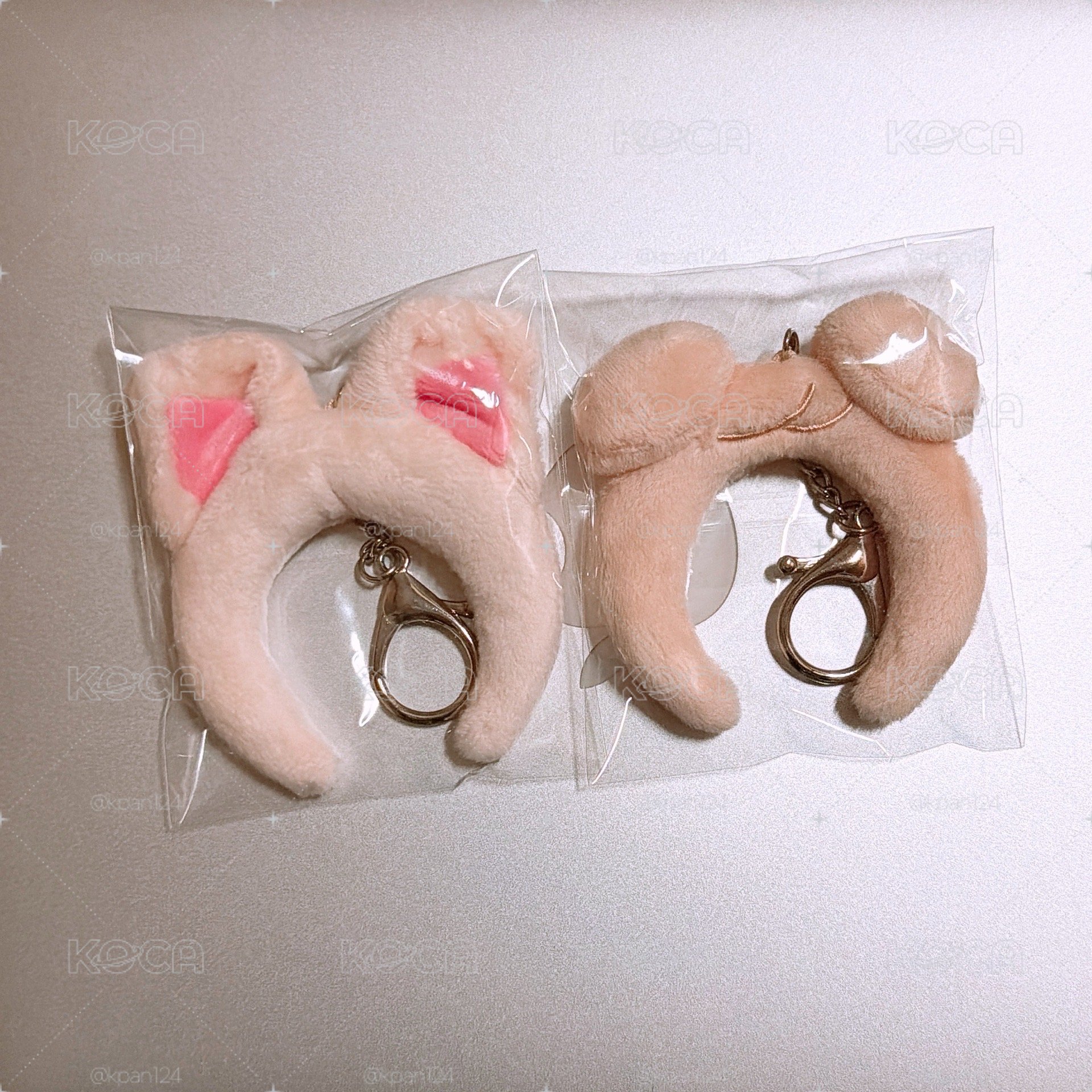 帕皮M 福西尼