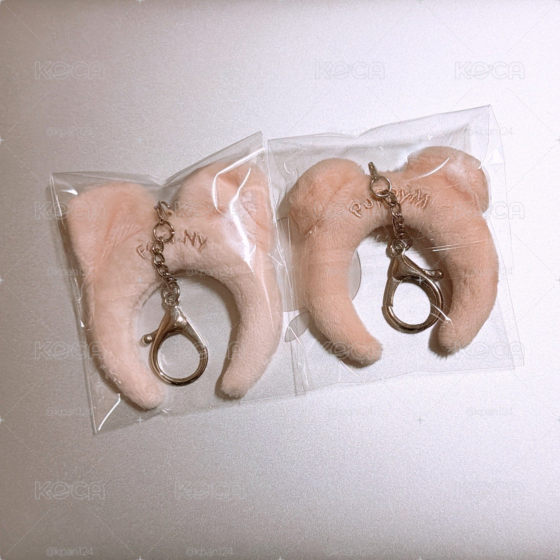 帕皮M 福西尼
