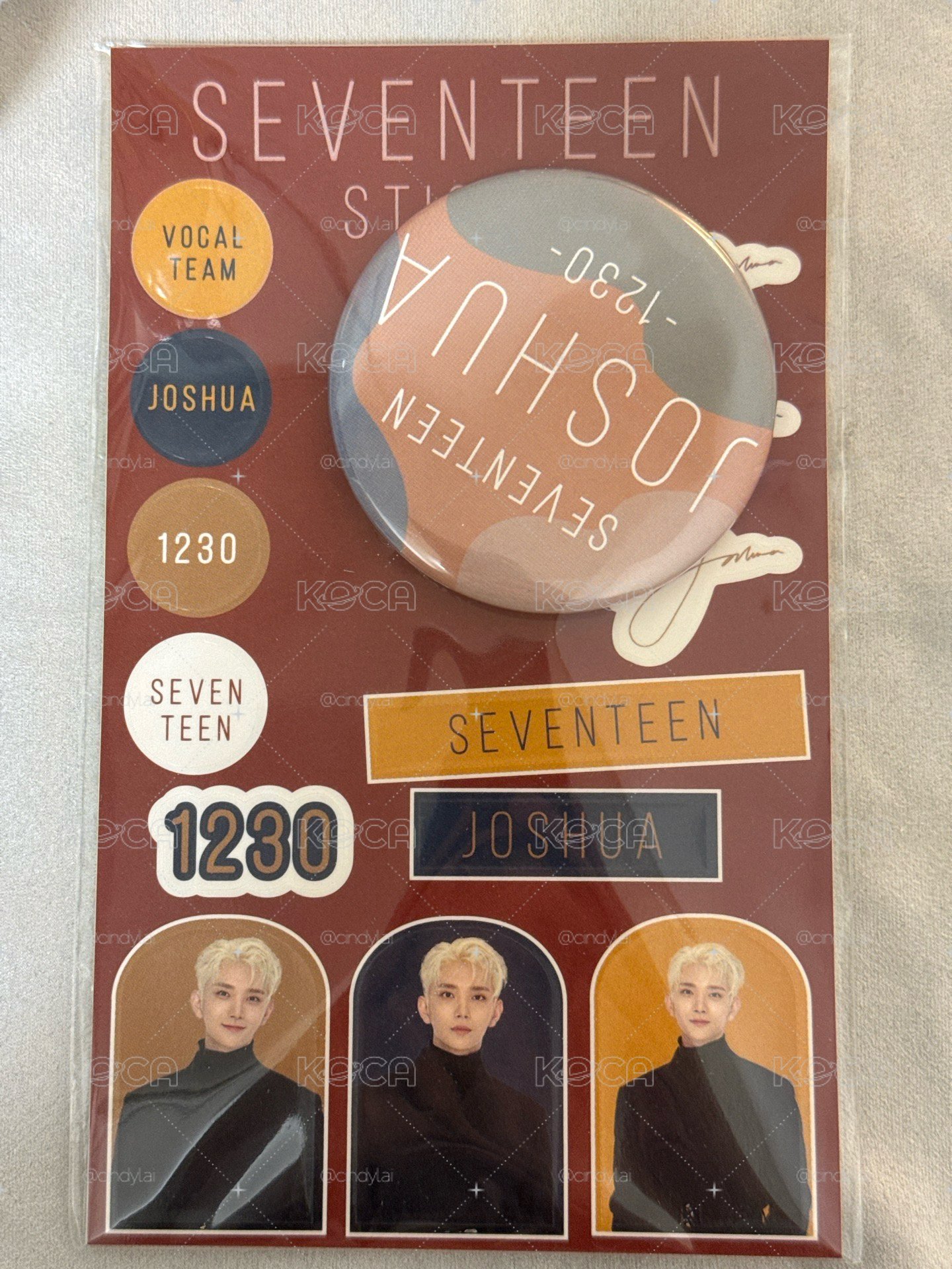 SVT JOSHUA一番賞徽章未拆封