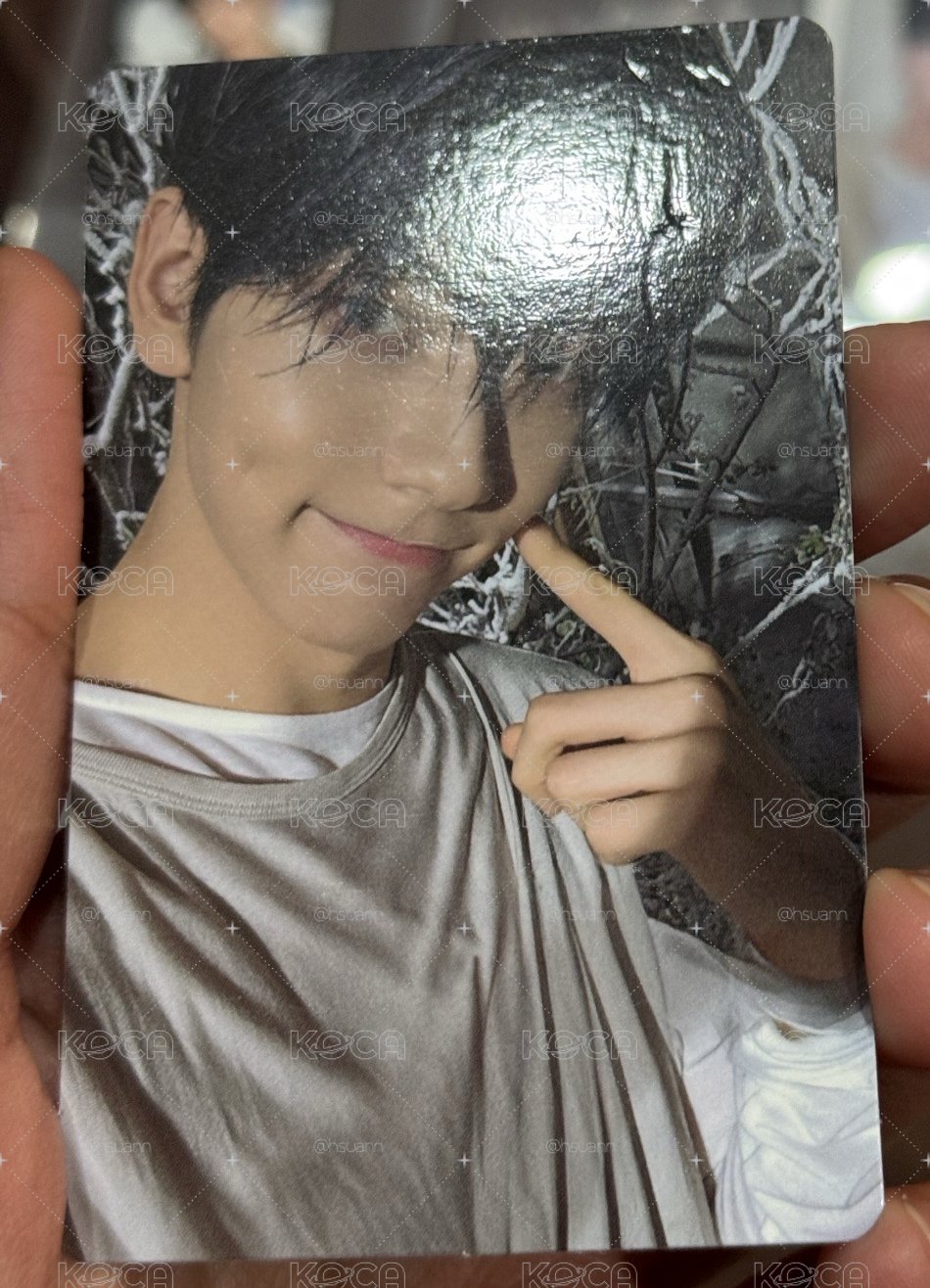 TXT 三崔小卡