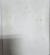 今日展寫真集（含生寫真，外殼內裏和第一頁有小黃漬，其他內頁無損）