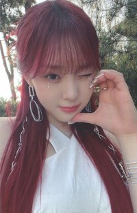 正規一 bdm 簽售卡 