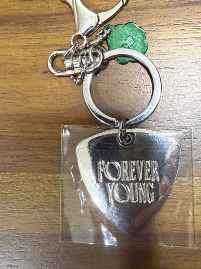 DAY6 吊飾 撥片 幸運草 FOREVER YOUNG 日週 