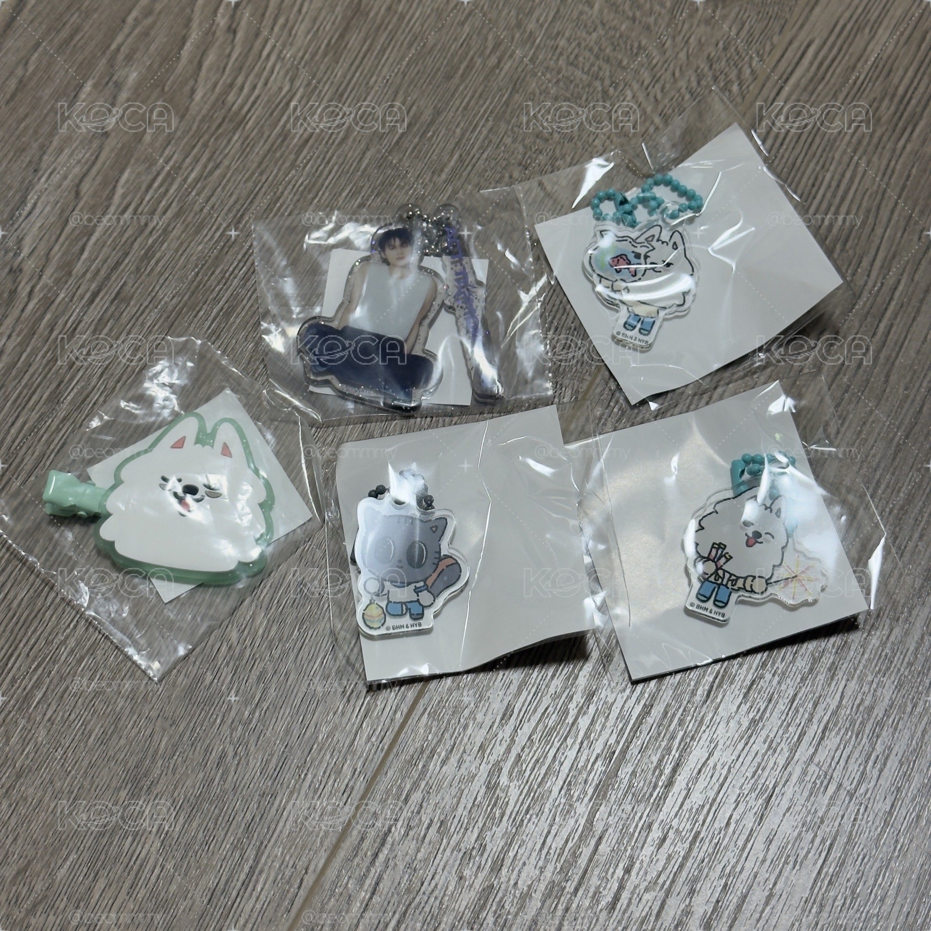 日巡扭蛋