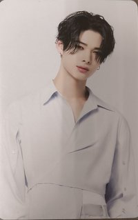 WTL世巡 卡包 隨機卡 