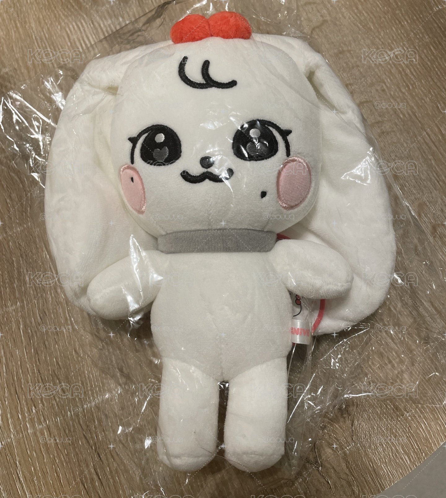 (需帶2）IVE minive 20公分 員娃