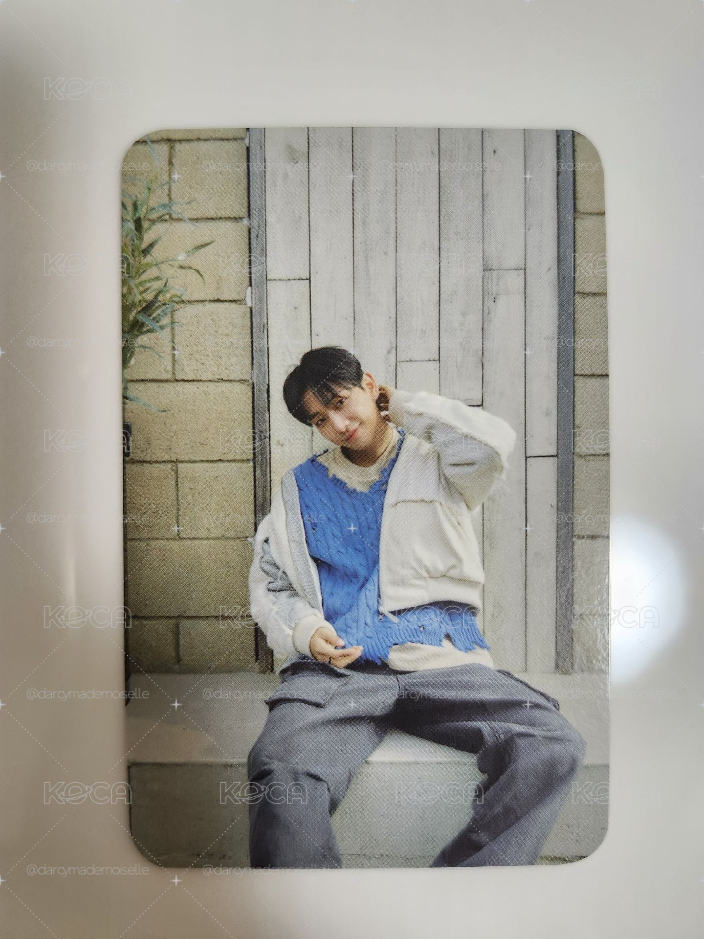 WHO YES24 明（不當綁）