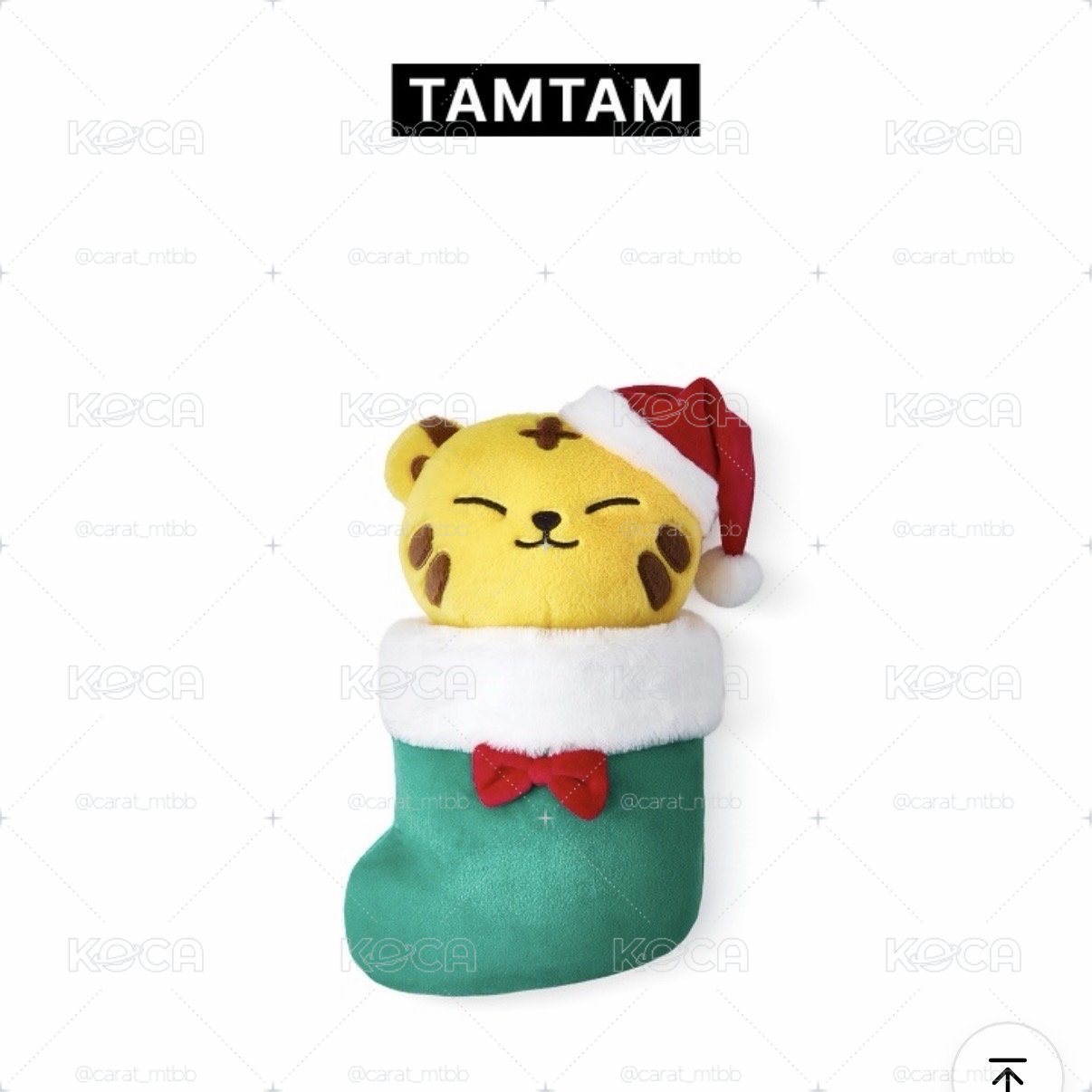 miniteen tam tam 聖誕大娃 榮