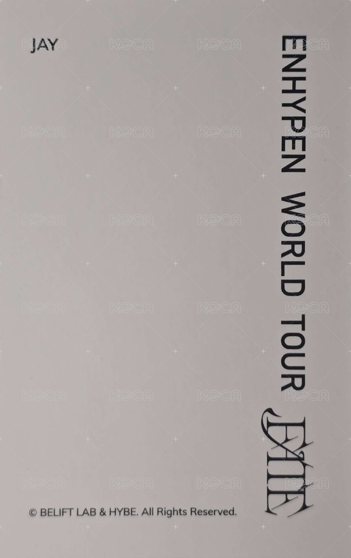 FATE世巡 周邊卡 衝鋒衣卡 背面