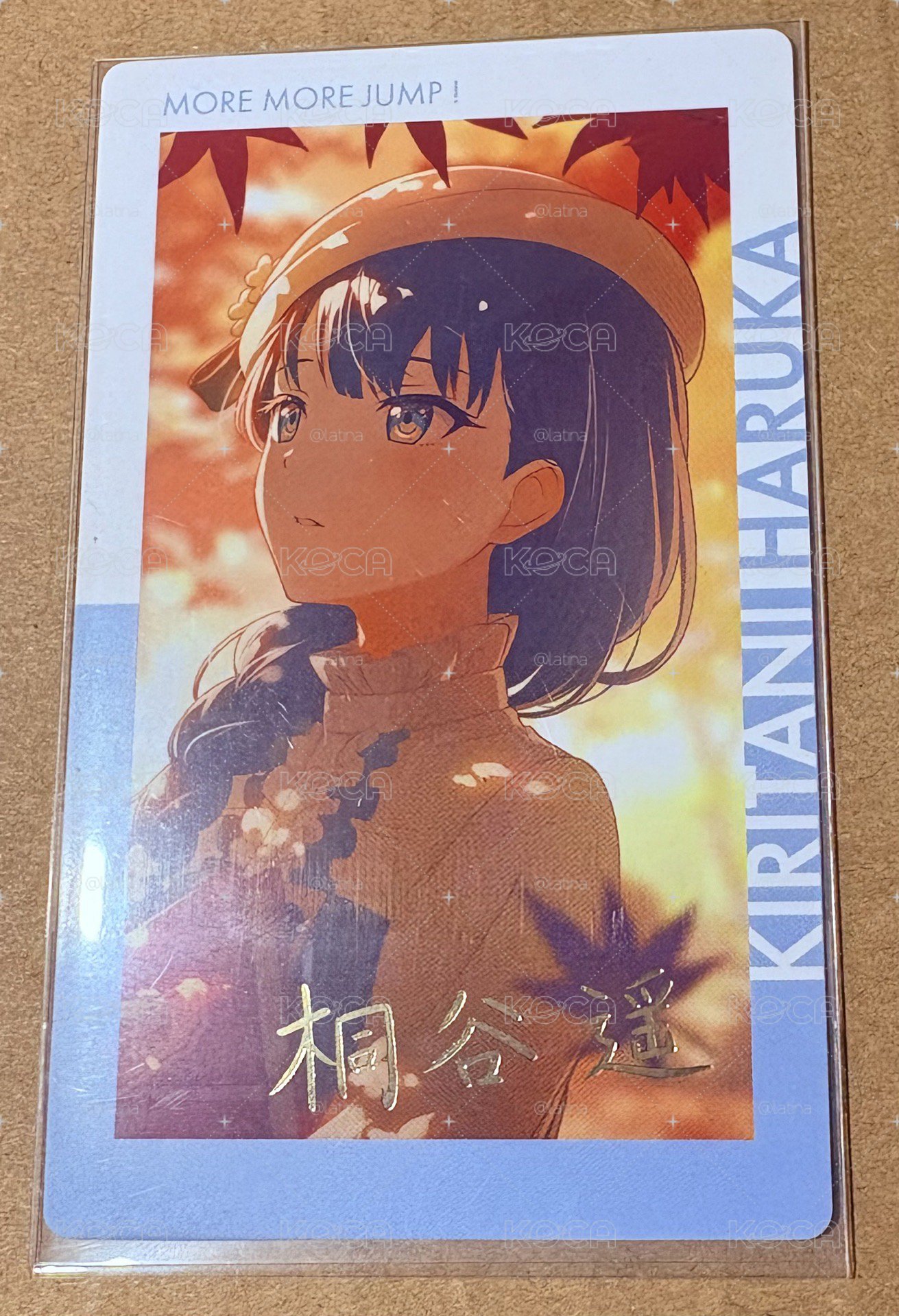 vol20B 楓葉遙簽