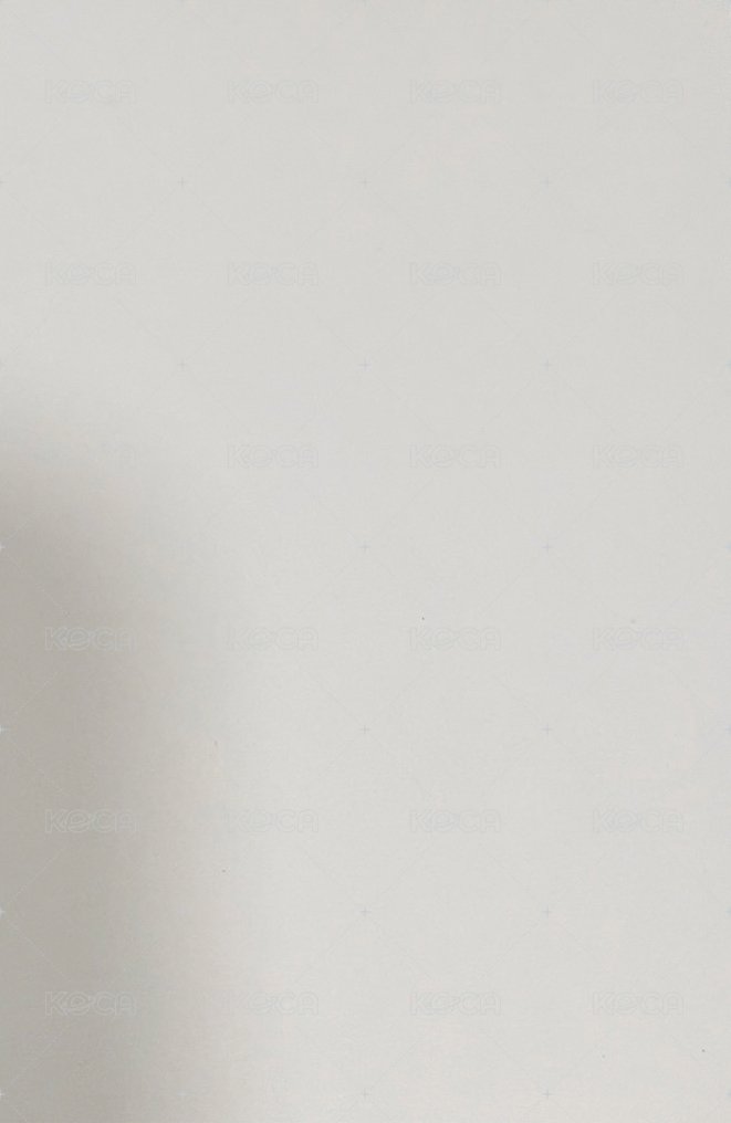 CHESHIRE yzy 2.0 特典卡 復刻拍立得 背面