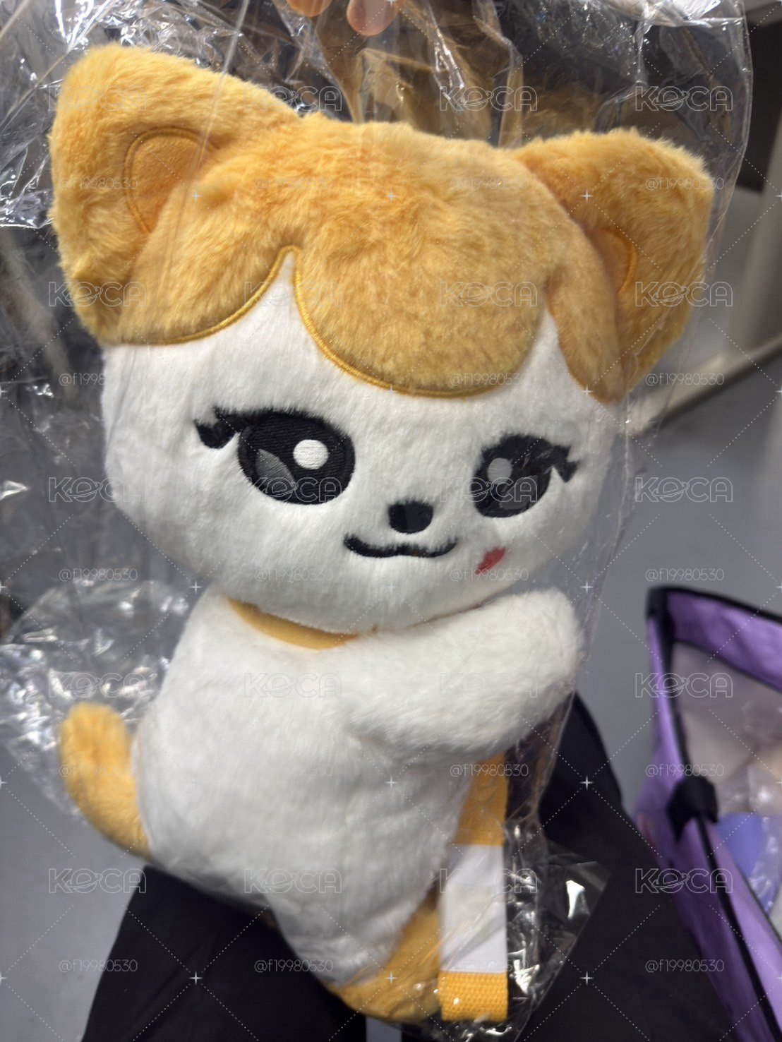 Liz娃側背包