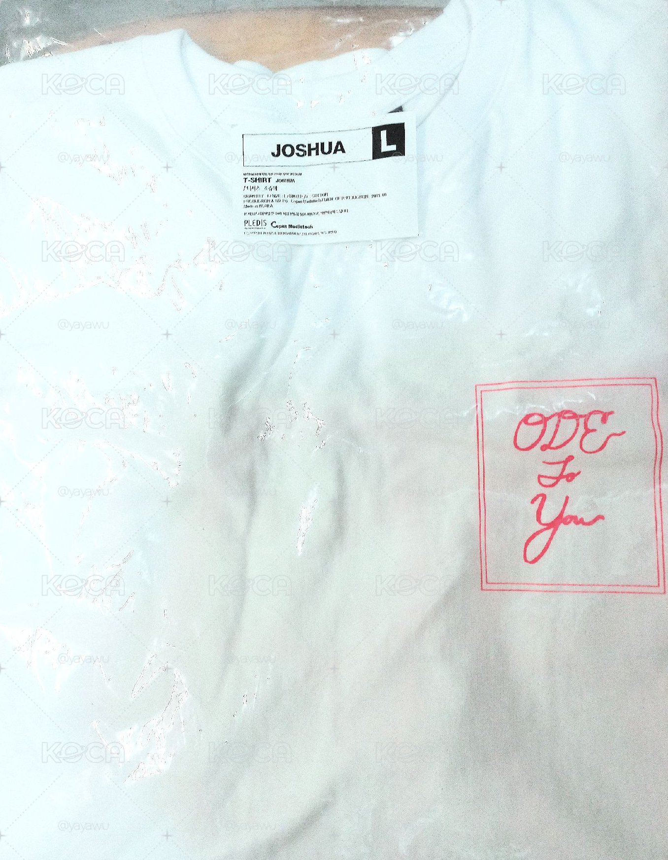 [🐰全新現貨]知秀 Joshua ODE TO YOU T-shirt (L)