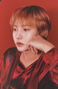 2025年曆 wm 特典卡 