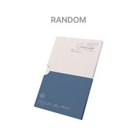 碩寛小分隊compact 版