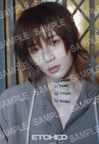 萬代 Etched 貼紙 