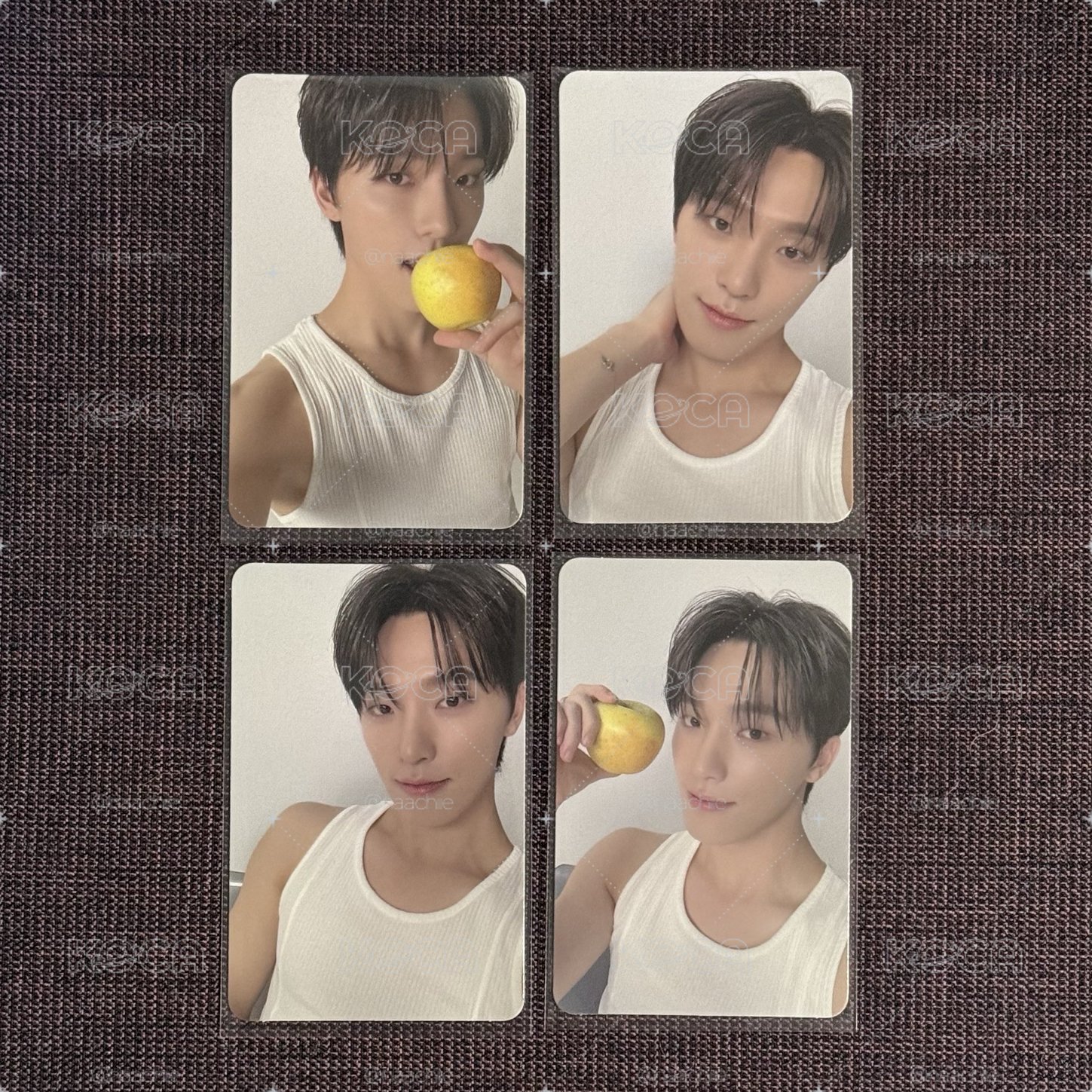 💛SEVENTEEN｜燦｜精選專 克拉盤隨機卡 整套