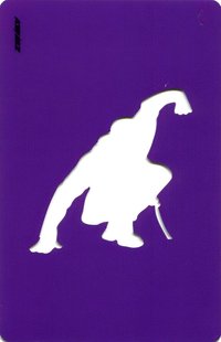 Outlaw 專輯卡 Z ver. 動作卡