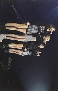 Chapter 1 周邊卡 卡冊卡 團卡