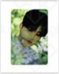 迷一 透卡 專輯卡 SHADE ver.