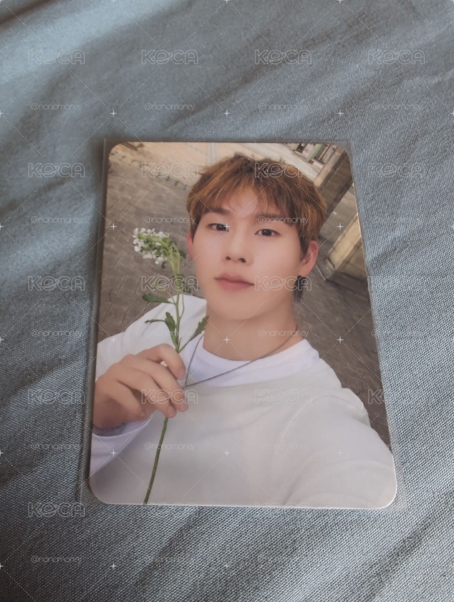 monsta x 周憲