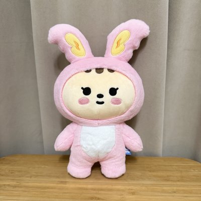 miniteen 淨漢站娃 全新現貨