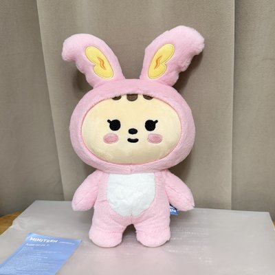 miniteen 淨漢站娃 全新現貨