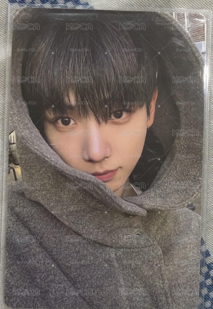 帽踢小狗