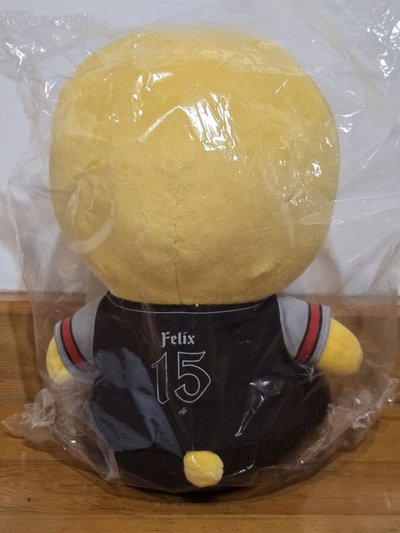 Dominate 靜岡 菲 生氣坐娃