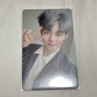 崔然竣 貓狗 打歌卡